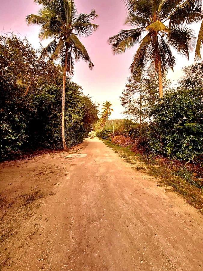 Le Nid De Bea Self-Catering Apartments La Digue Eksteriør bilde